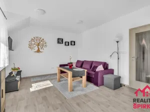 Prodej bytu 2+kk, Červená Voda - Mlýnický Dvůr, 45 m2