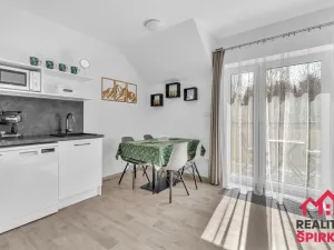 Prodej bytu 2+kk, Červená Voda - Mlýnický Dvůr, 45 m2