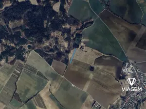 Prodej pole, Mlázovice, 5121 m2