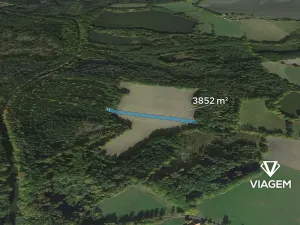 Prodej pole, Stříbřec, 3852 m2