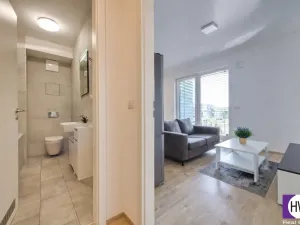 Pronájem bytu 1+kk, Praha, Jurkovičova, 47 m2