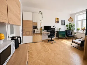 Pronájem bytu 1+kk, Brno, Údolní, 42 m2