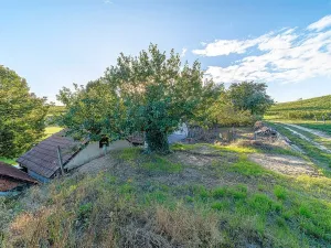 Prodej ostatní, Čejkovice