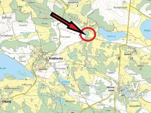 Prodej podílu lesa, Chanovice, 1232 m2