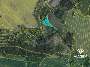 Prodej podílu lesa, Žirovnice, 1457 m2