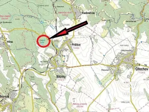Prodej podílu lesa, Prštice, 1259 m2