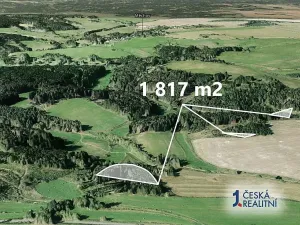 Prodej podílu lesa, Otročín, 1817 m2