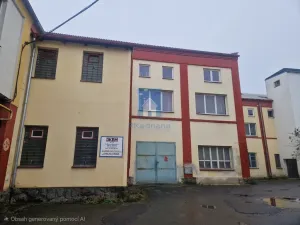 Prodej výrobních prostor, Klatovy, Franty Šumavského, 1098 m2
