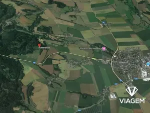 Prodej lesa, Mohelnice, 9122 m2