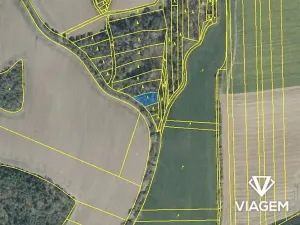 Prodej podílu lesa, Koloveč, 2021 m2