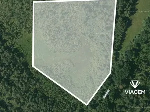 Prodej podílu lesa, Veselí nad Lužnicí, 20552 m2