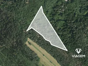 Prodej podílu lesa, Kuřimská Nová Ves, 8824 m2