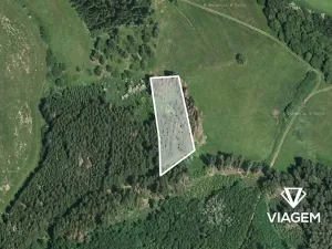 Prodej podílu lesa, Radošovice, 1094 m2