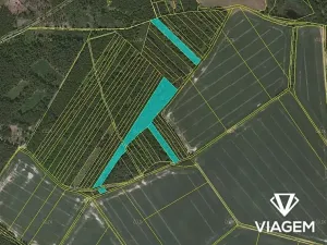 Prodej podílu lesa, Komárov, 8639 m2
