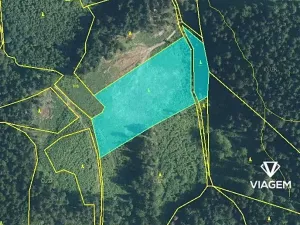 Prodej lesa, Lhota u Vsetína, 11980 m2