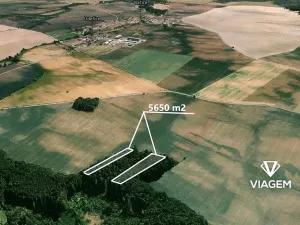 Prodej lesa, Bačice, 8463 m2