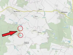 Prodej lesa, Bačice, 8463 m2