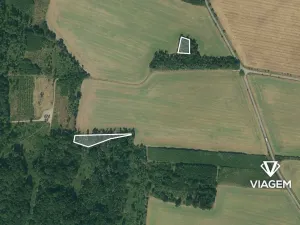 Prodej lesa, Bačice, 8463 m2