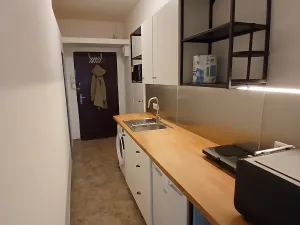 Pronájem bytu 1+kk, Praha - Vinohrady, Vinohradská, 33 m2