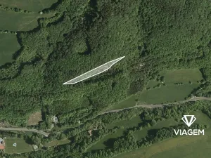 Prodej lesa, Bratřejov, 4091 m2