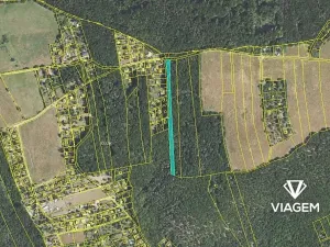 Prodej lesa, Vráž, 3233 m2