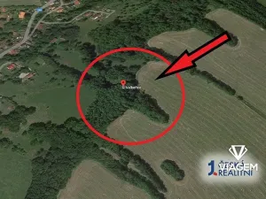 Prodej lesa, Valkeřice, 6752 m2