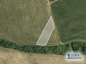 Prodej pole, Nosislav, 1542 m2