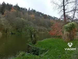 Prodej lesa, Bečice, 36578 m2