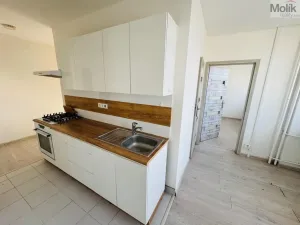 Pronájem bytu 3+1, Most, M. G. Dobnera, 62 m2