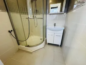 Pronájem bytu 3+1, Most, M. G. Dobnera, 62 m2