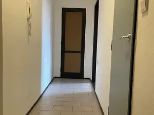 Pronájem bytu 2+1, Břeclav, Fintajslova, 53 m2