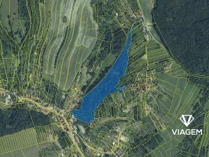 Prodej podílu lesa, Košíky, 6802 m2
