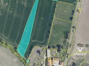 Prodej podílu pole, Třebenice, 1072 m2
