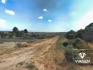 Prodej podílu pole, Dětenice, 378 m2