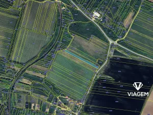 Prodej podílu pole, Olbramovice, 699 m2