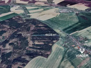 Prodej podílu lesa, Budětsko, 990 m2