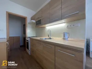 Pronájem bytu 2+1, Hodonín, Lesní, 57 m2