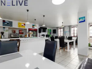 Prodej ubytování, Starý Plzenec, Masarykovo náměstí, 480 m2