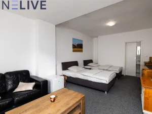 Prodej ubytování, Starý Plzenec, Masarykovo náměstí, 480 m2