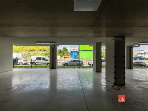 Pronájem bytu 1+kk, Plzeň - Východní Předměstí, Kartónová, 27 m2