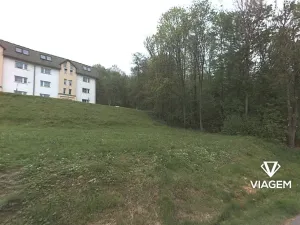 Prodej podílu lesa, Velké Hamry, 2235 m2