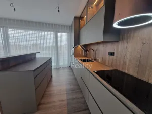 Pronájem bytu 3+kk, Hradec Králové - Svobodné Dvory, Pálenecká, 113 m2