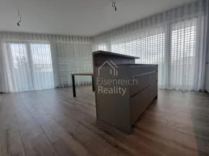 Pronájem bytu 3+kk, Hradec Králové - Svobodné Dvory, Pálenecká, 113 m2