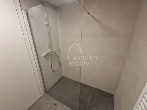 Pronájem bytu 3+kk, Hradec Králové - Svobodné Dvory, Pálenecká, 113 m2