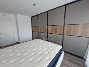 Pronájem bytu 3+kk, Hradec Králové - Svobodné Dvory, Pálenecká, 113 m2