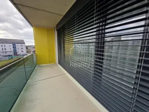 Pronájem bytu 3+kk, Hradec Králové - Svobodné Dvory, Pálenecká, 113 m2