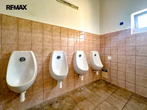 Prodej ubytování, Velké Pavlovice, Dlouhá, 500 m2