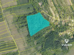 Prodej podílu lesa, Košíky, 8165 m2