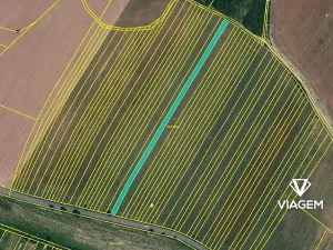 Prodej podílu pole, Kuchařovice, 2403 m2