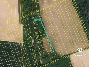 Prodej podílu lesa, Bystřice pod Hostýnem, 597 m2